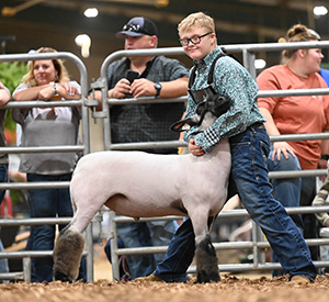 Whyte Club Lambs Winners