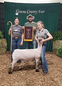 Whyte Club Lambs Winners