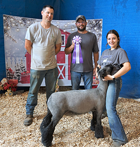 Whyte Club Lambs Winners